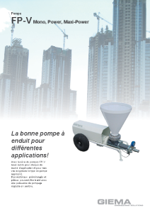 FP-V_FR Brochure.pdf